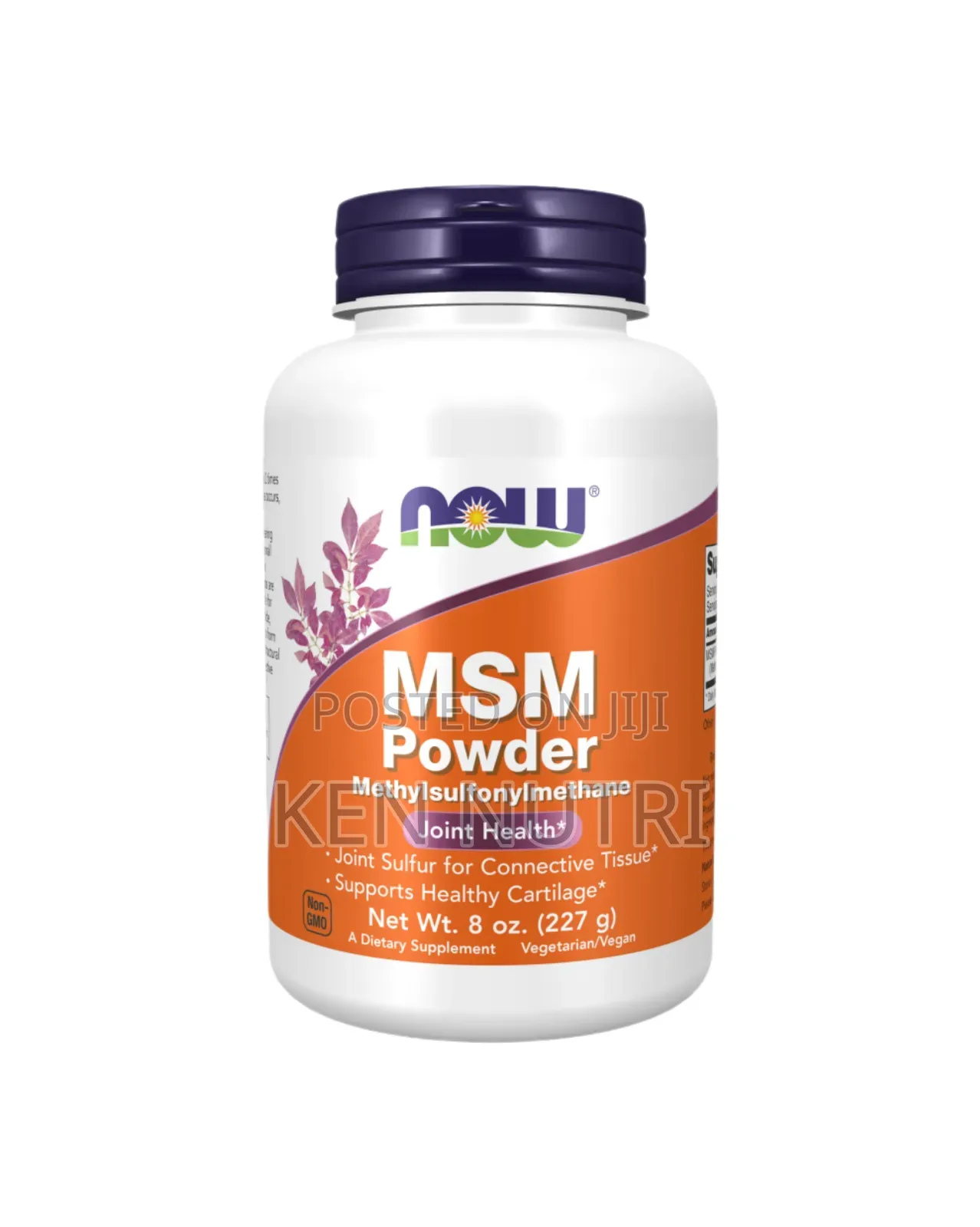 Now MSM Powder 227gm
