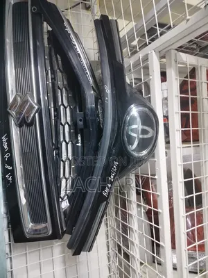 Rav 4 2016/18 Grille Ex Japan