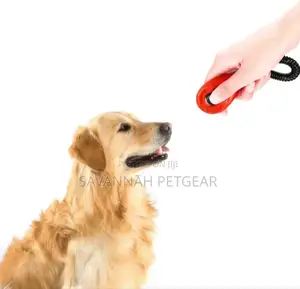 Dog Training Clicker to Correct Bad Habits and Improve Relationship