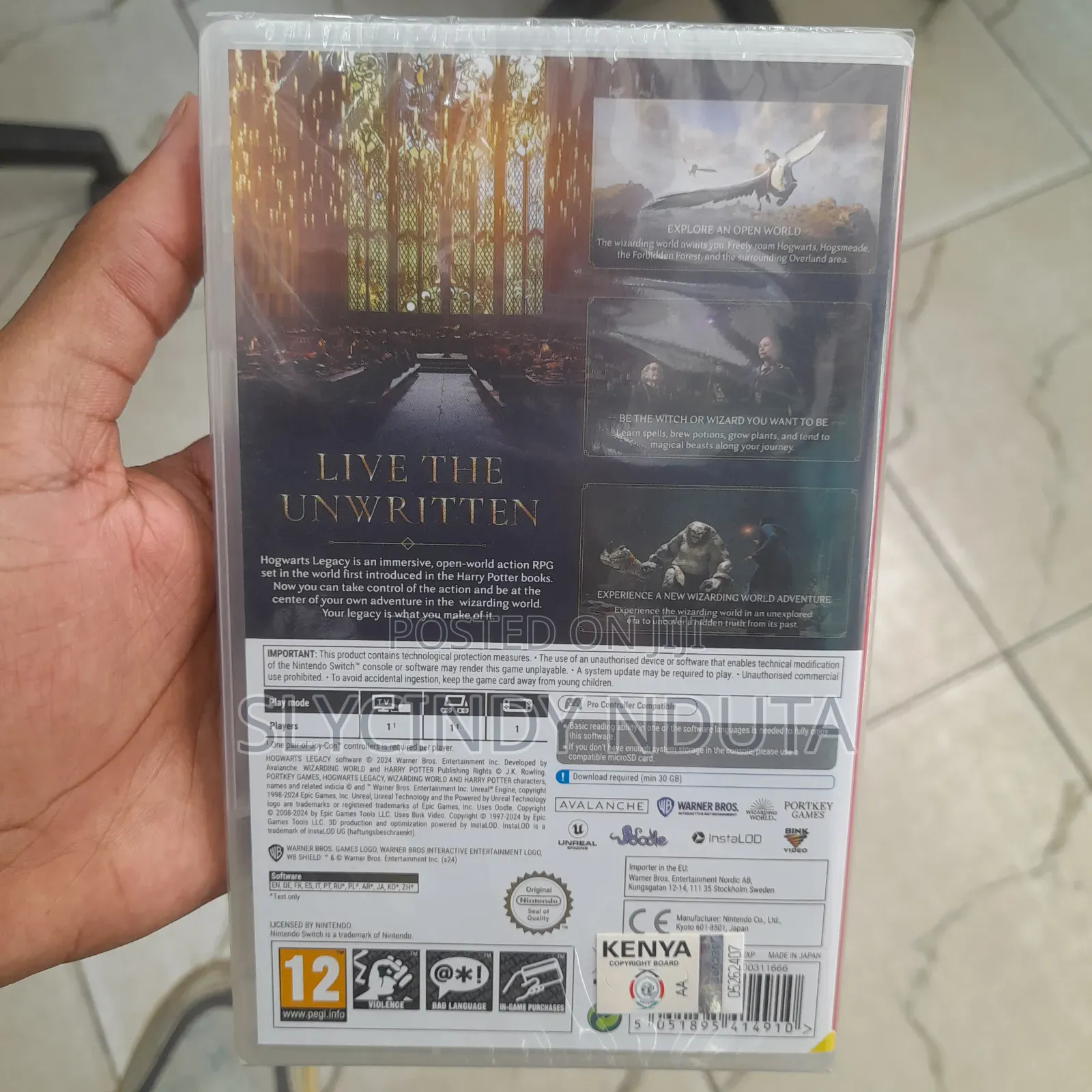 Nintendo Switch Hogwarts Legacy