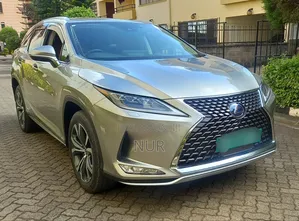 Lexus RX 2020 Gray
