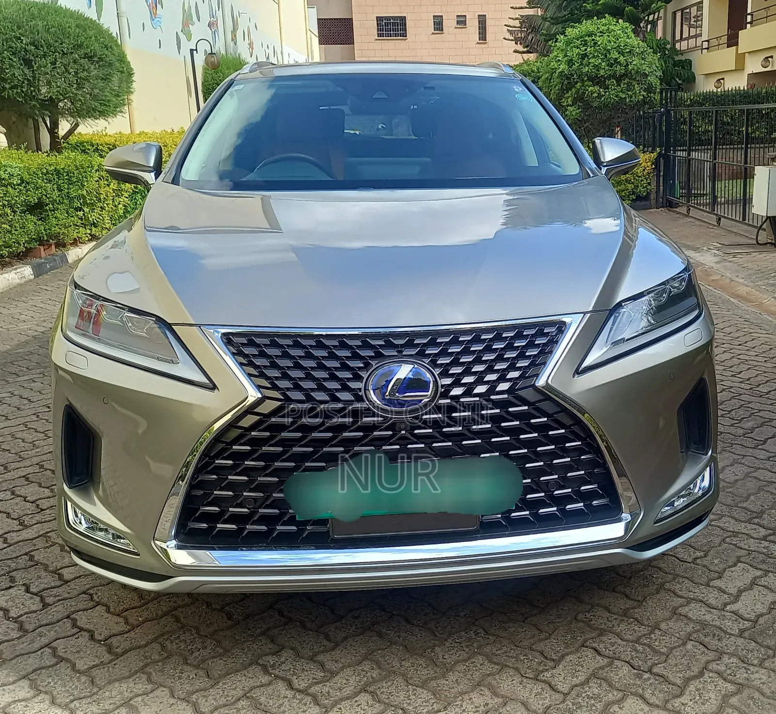 Lexus RX 2020 Gray