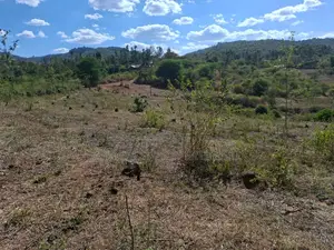 3 Acres for Sale in Ndorome Area- Iganjo