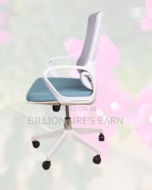 Executive White Ergonomic Mesh Office Chair — Great for Study or Work