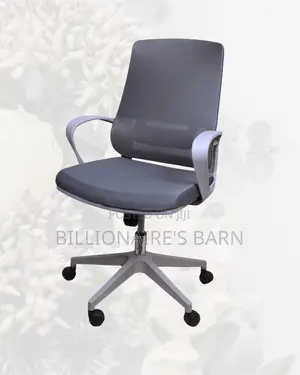 Grey Ergonomic Mesh Office Chair | Imported Swivel Base