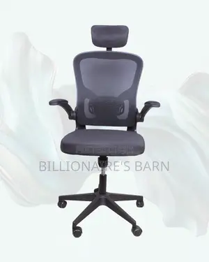 Executive Grey Ergonomic Office Chair | Mesh Backrest