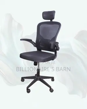Executive Grey Ergonomic Office Chair | Mesh Backrest