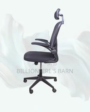 Executive Grey Ergonomic Office Chair | Mesh Backrest