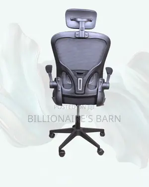 Executive Grey Ergonomic Office Chair | Mesh Backrest