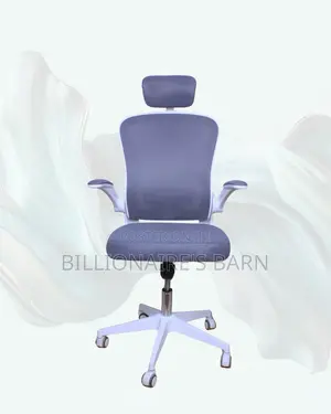 White Ergonomic Office Chair (Imported) — Moving Fast