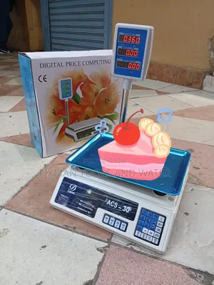 Digital Weigh Scale Acs 40 With Battery Safer Mode