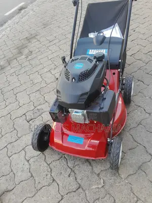Compound Grass Trimmer/ Lawn Mower