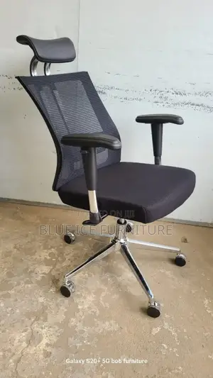Orthopedic Office Chair