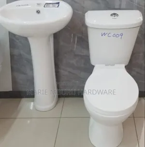 Toilet Asian