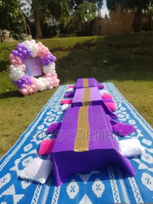 Bithday Picnic Party Decor Ideas
