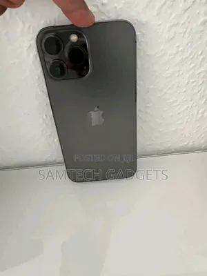 Apple iPhone 13 Pro Max 256 GB Gray