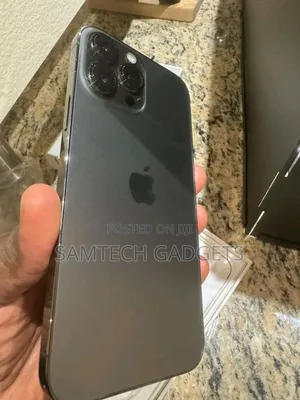 Apple iPhone 13 Pro Max 256 GB Gray