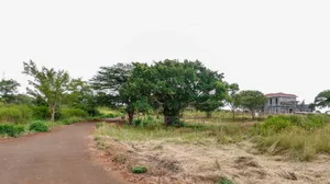 1/4 Acre for Sale at Thika Greens