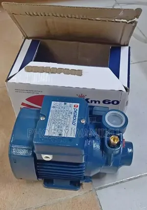 Imported Pedrollo Water Pump