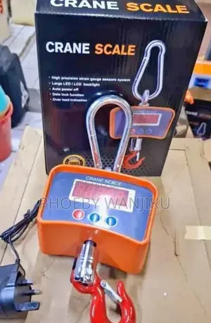 Reliable and Affordable Crane Scale 500kg