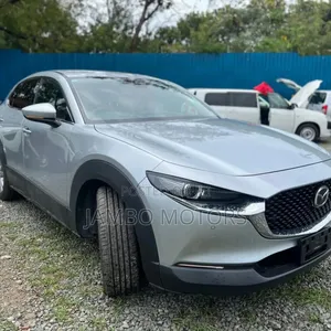 Mazda CX-30 Premium 2020 Silver