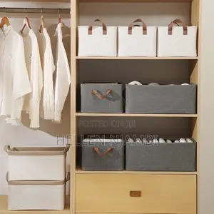 Collapsible Closet Organizer With Cover