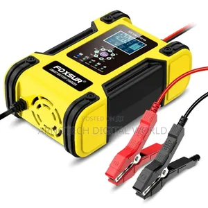 Universal Smart Battery Charger 12v/24v