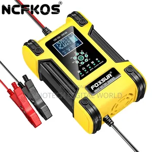 Universal Smart Battery Charger 12v/24v