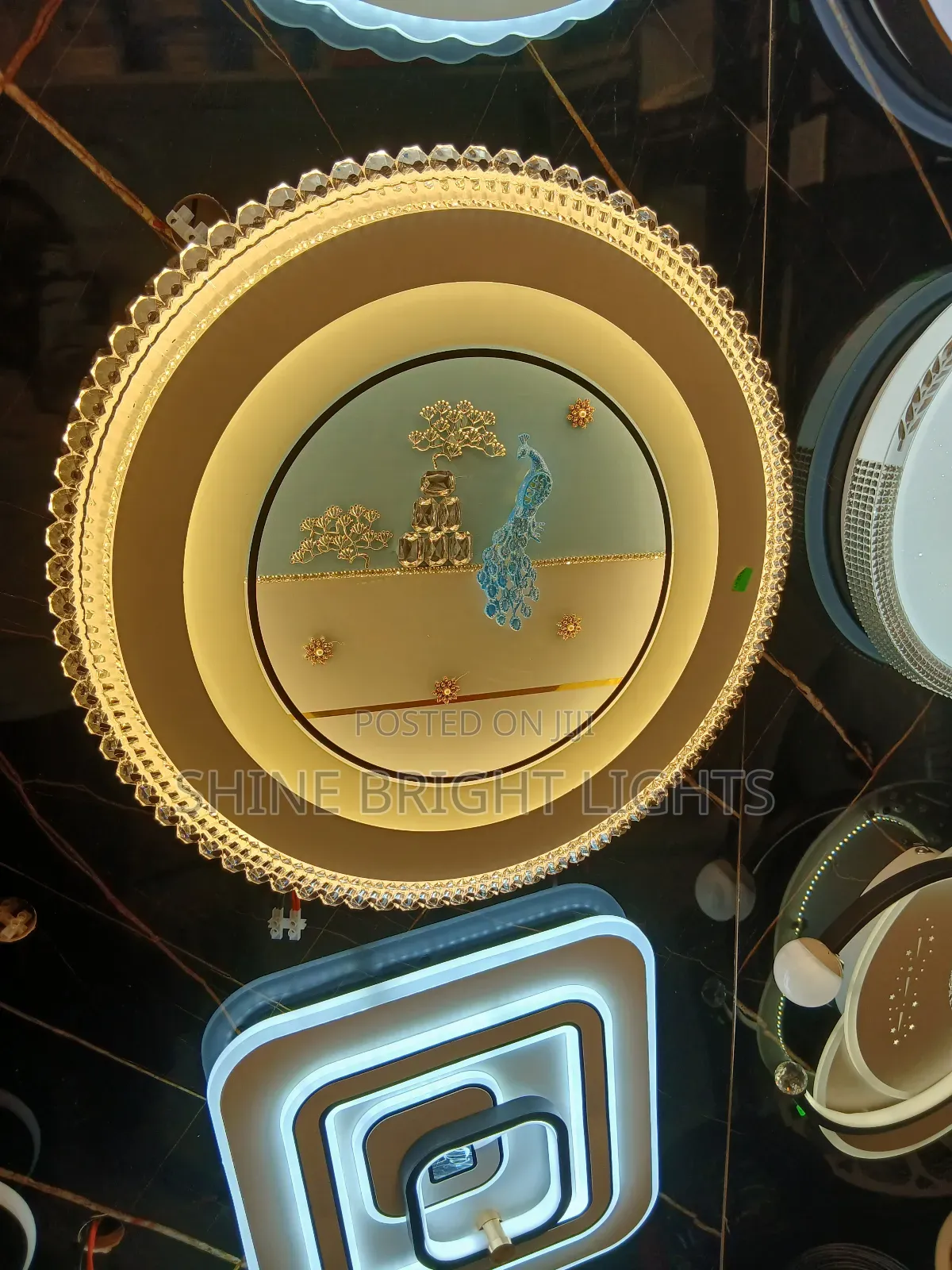 Ceiling Lights