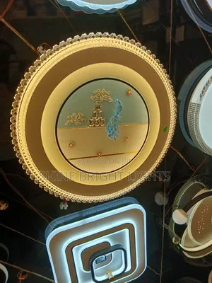 Ceiling Lights