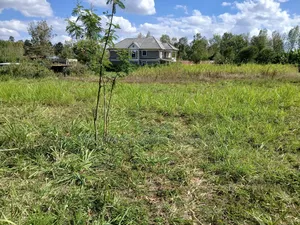 Full 100 by 100 Plot in Upper Matasia, 200 Metres Off Roimen Tarmac