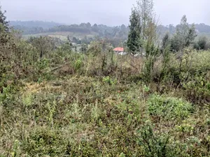 Distressed Full Quarter Acre Near Roimen Tarmac in Upper Matasia