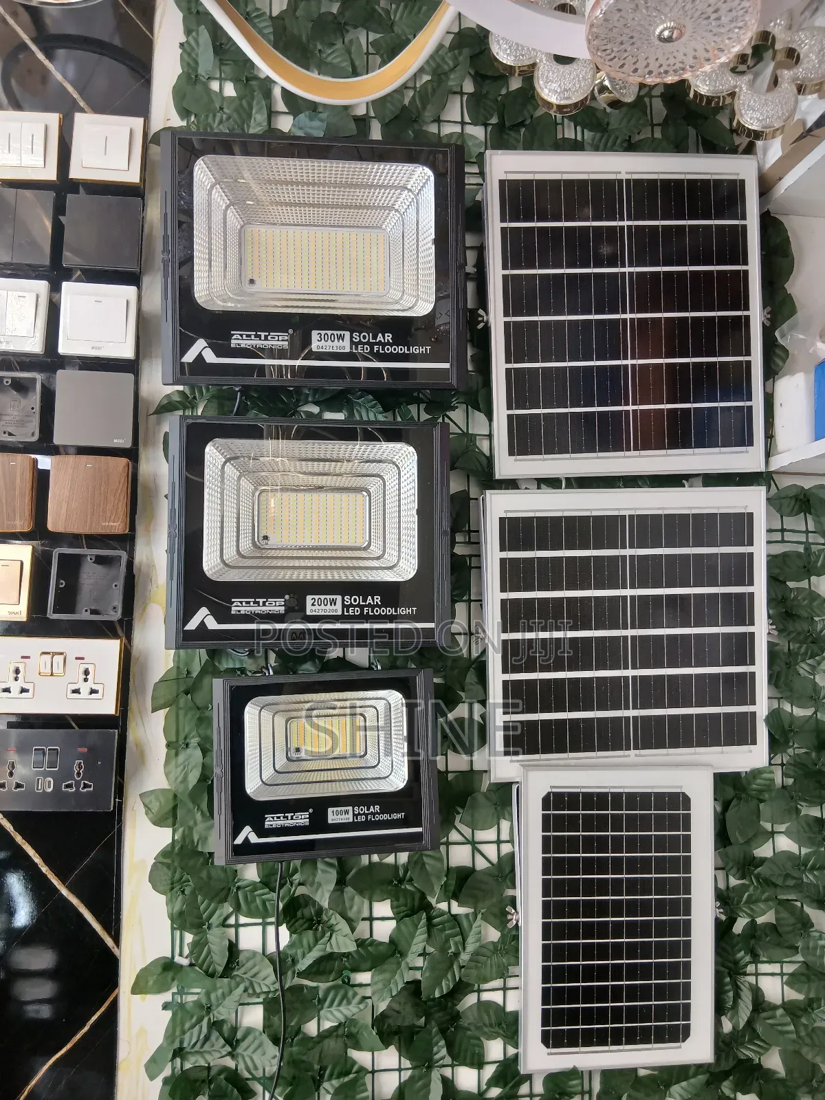 Solar Security Light