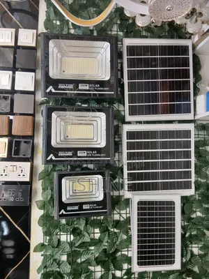 Solar Security Light
