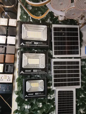 Solar Security Light