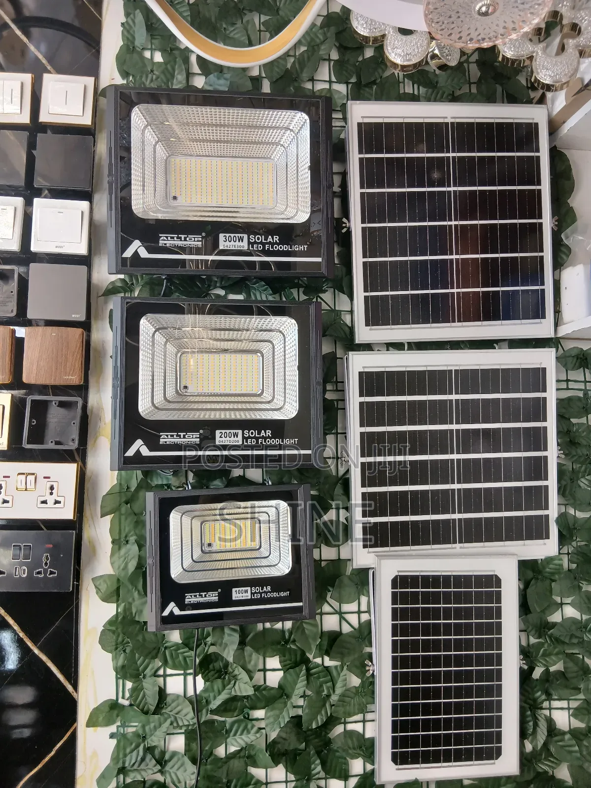 Solar Security Light
