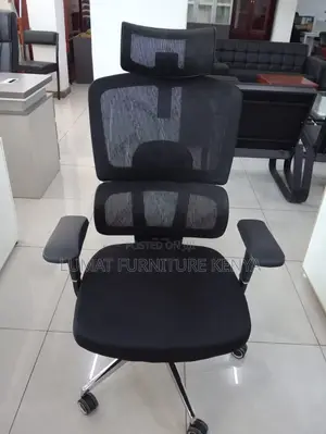 Executive Lumbar Support Chair