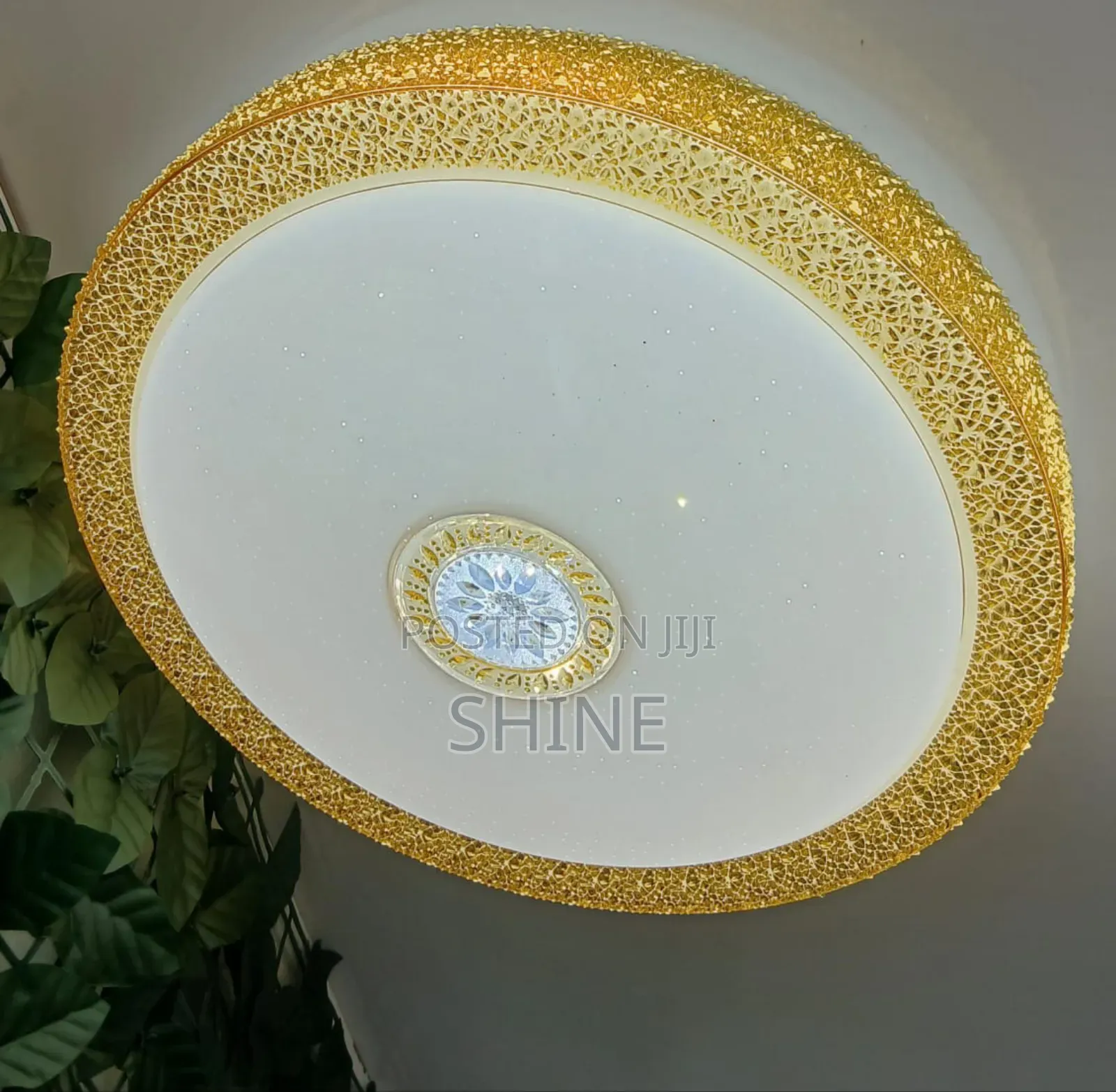 Ceiling Lights