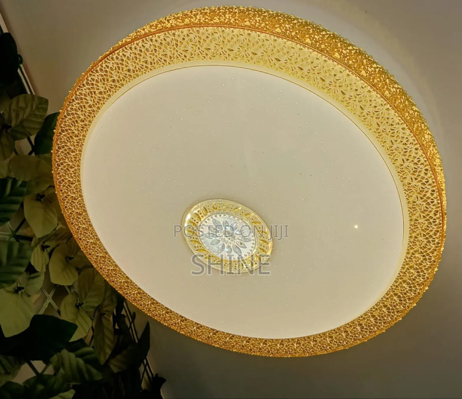 Ceiling Lights