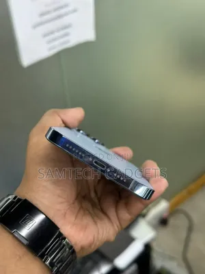 Apple iPhone 13 Pro Max 256 GB Blue