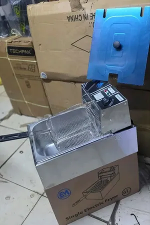 Electric Electromate Single Deep Fryer With Cover