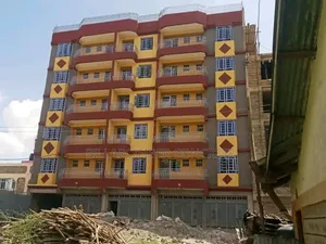 Painting Expert(All Types of Interior and Exterior Paint Work)