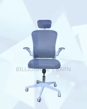 Sleek White Ergonomic Office Chair — Relieves Lower Back Pressure