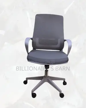 Plush Grey Ergonomic Mesh Office Chair — Great for Study or Work