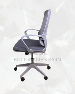 Plush Grey Ergonomic Mesh Office Chair — Great for Study or Work