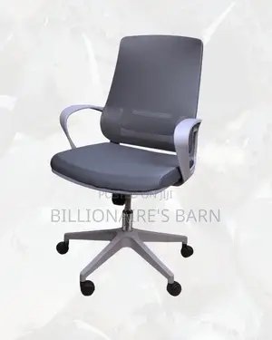 Plush Grey Ergonomic Mesh Office Chair — Great for Study or Work