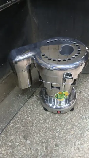 Ideal Commercial Juicer