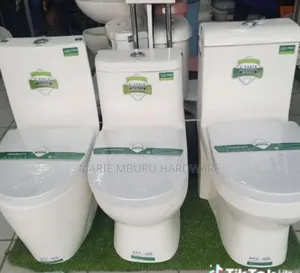 One Piece Toilet