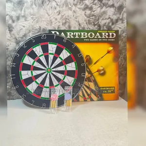 Professional Dartboard