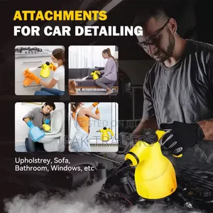 220v Handheld High Temperature Steam Cleaner